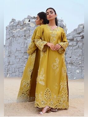 Saira Rizwan silk out